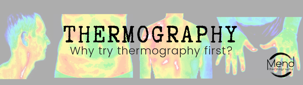 thermography des moines iowa
